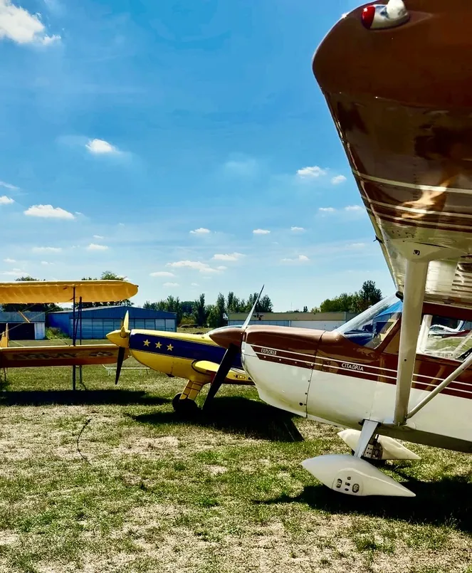 Avions de tourisme et de voltige alignés sur l'herbe de l'aérodrome de Persan-Beaumont pendant le Fly-in